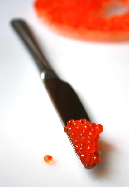 Salmon red caviar — Stock Photo, Image