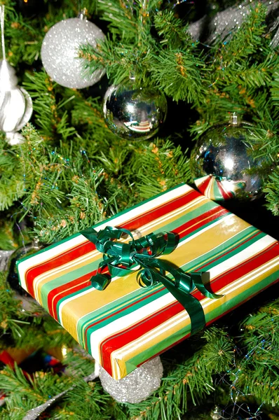 Cadeau de Noël placé dans un arbre — Photo