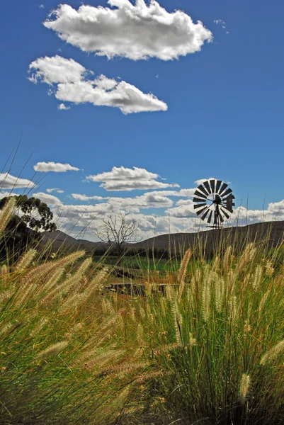 Karoo paisagem — Fotografia de Stock