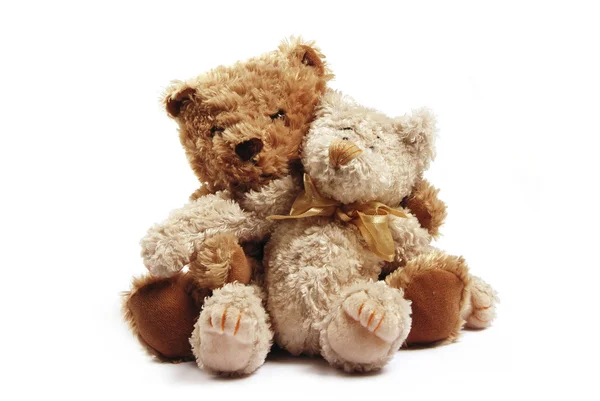 两个泰迪熊 — 图库照片