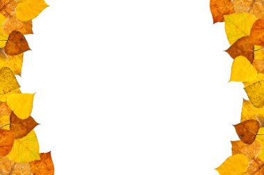 Sonbahar yaprakları çerçevesi
