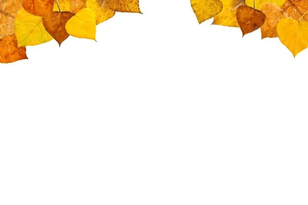 stock image Autumn leaves frame