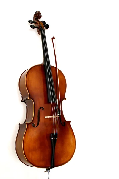 O violoncelo — Fotografia de Stock