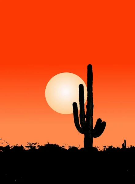 Albero di cactus — Foto Stock