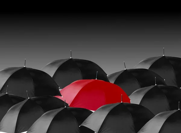 Rode paraplu geïsoleerd — Stockfoto