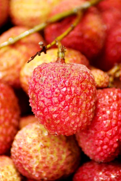 stock image Litchi chinensis 015