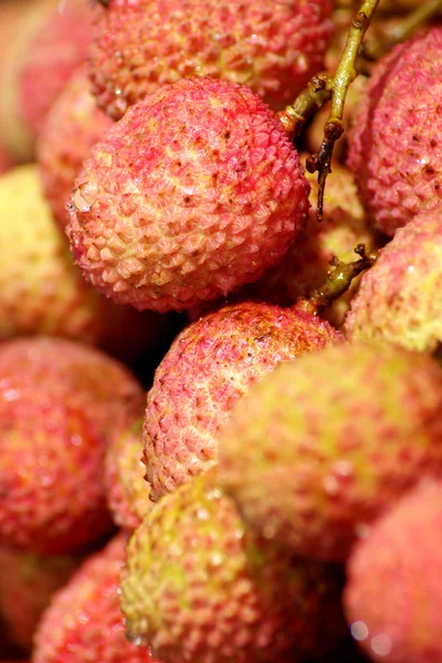 stock image Litchi chinensis 015