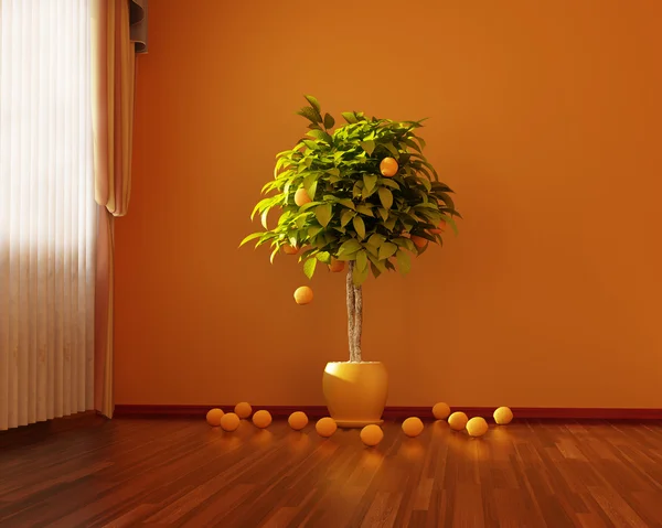 橙色的房间 — 图库照片