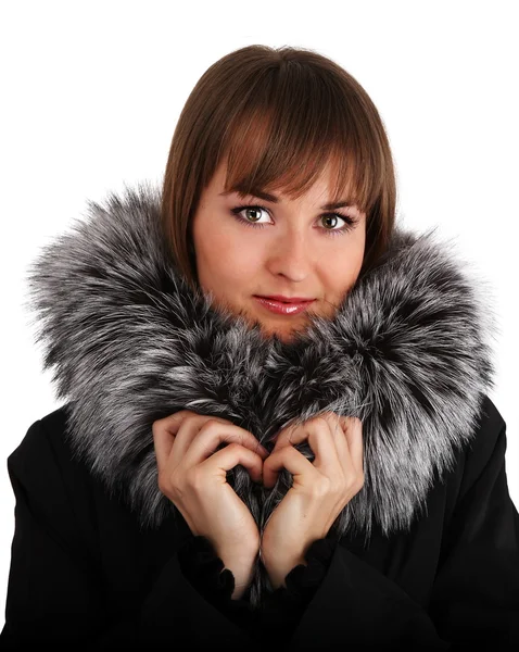 stock image Fur colar