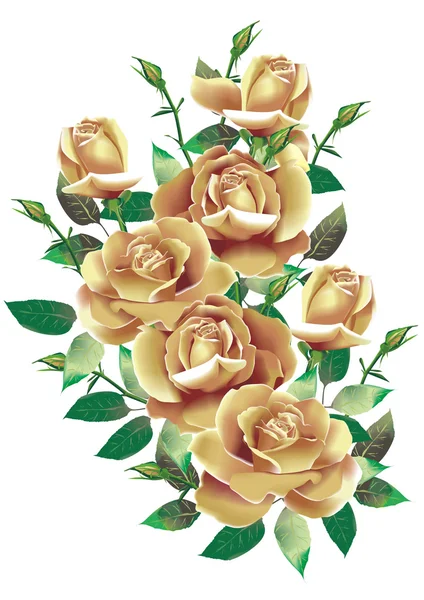 Rosas beige —  Fotos de Stock