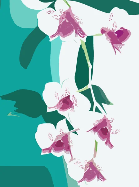 Твиговые орхидеи — стоковое фото