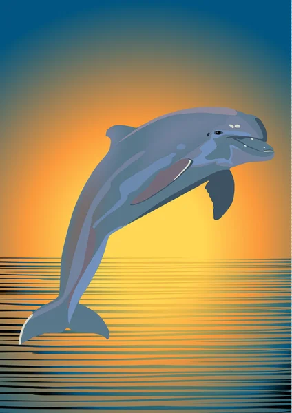 Dauphin et mer — Image vectorielle