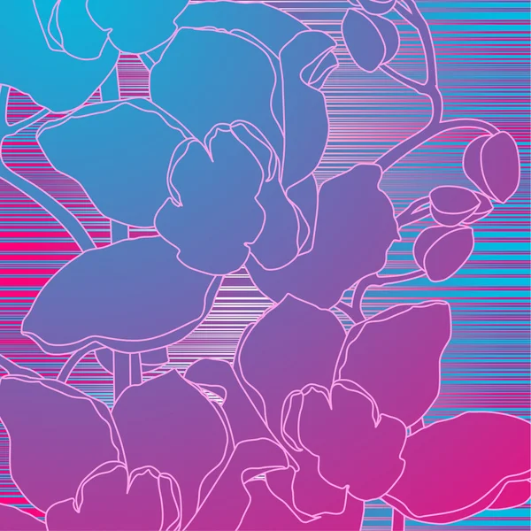 Orchids — Stock Vector