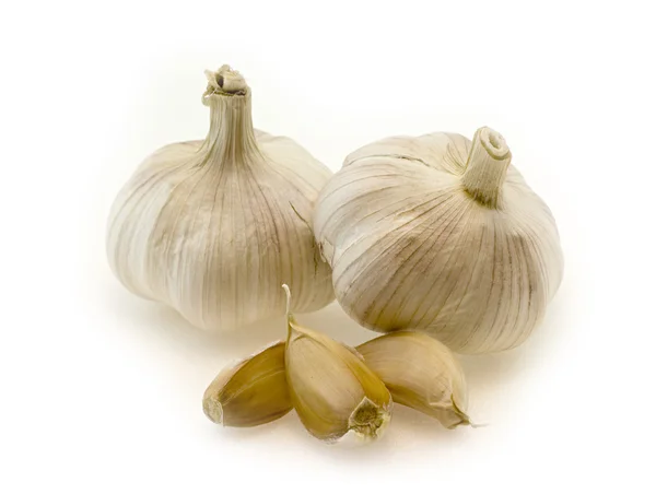 stock image Garlic