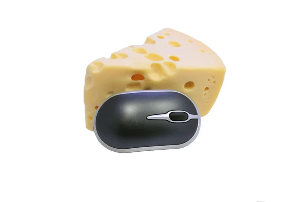 3 sajtos egér hűtőmágnes — Stock Fotó