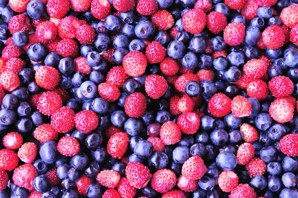 Yabani çilek ve bilberry - Stok İmaj
