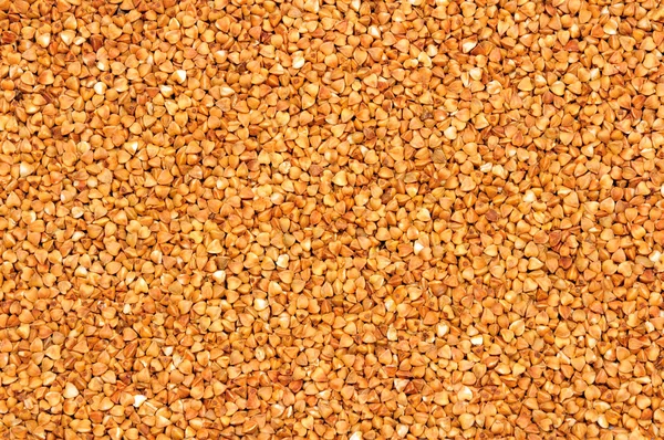 Background of buckwheat groats — Stock Photo, Image