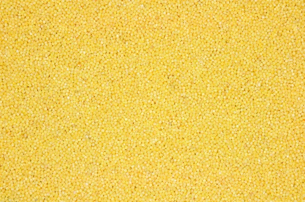 stock image Background of millet