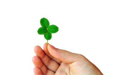 Hand with clover clipart