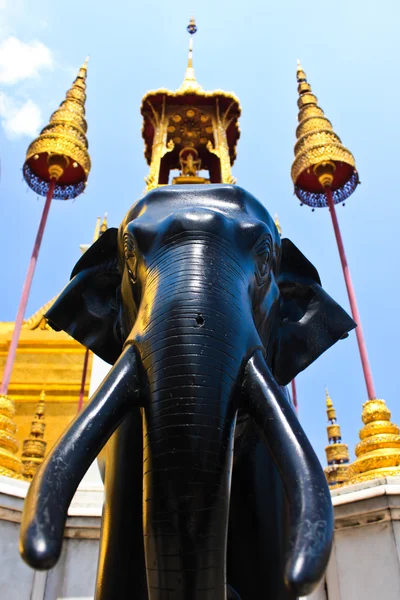 Black Elephant — Stock Photo, Image
