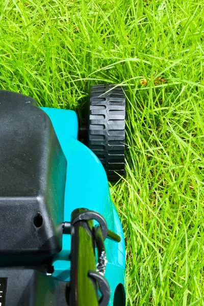 잔디밭 발동기 (뒷면, 포경된) — 스톡 사진