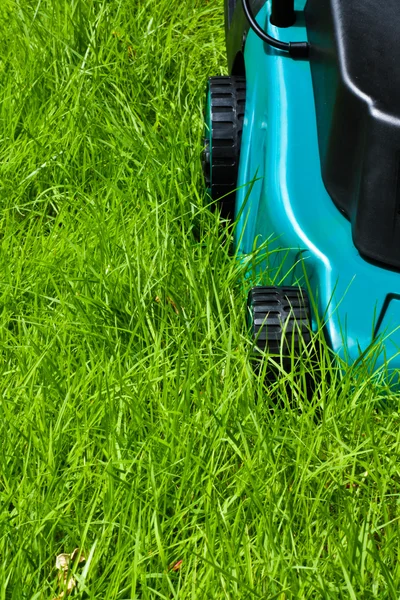 잔디밭 발동기 (프론트 사이드, 포경된) — 스톡 사진