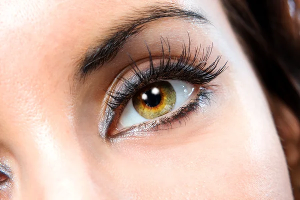 El ojo macro femenino — Foto de Stock