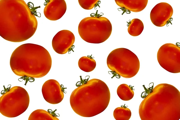 Pomidor Obrazek Stockowy