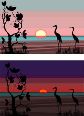 Sunset clipart