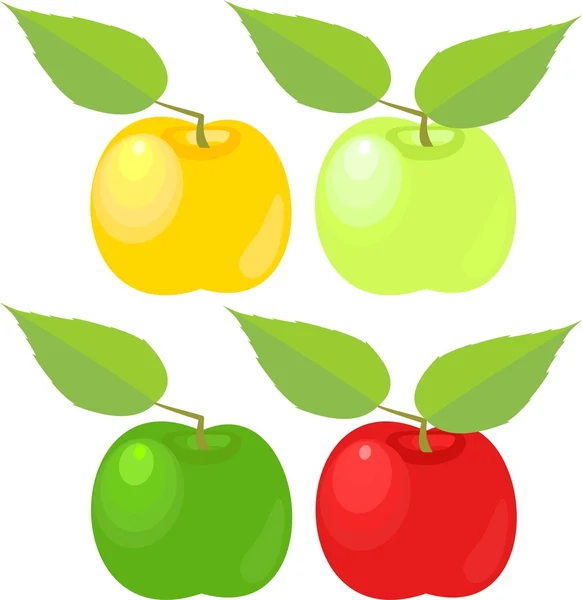 Recolección De Varias Manzanas 2 Imagen Vectorial De © Clairev 27214229 Depositphotos