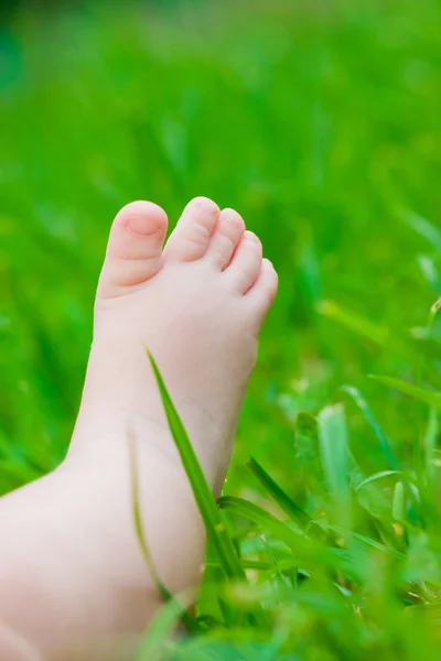 在新鲜的绿色草地上小小的婴儿脚 — 图库照片