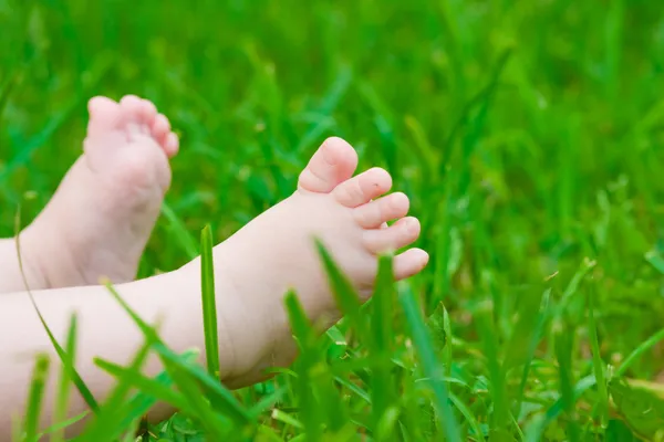 Pequenos pés de bebê na grama verde fresca — Fotografia de Stock
