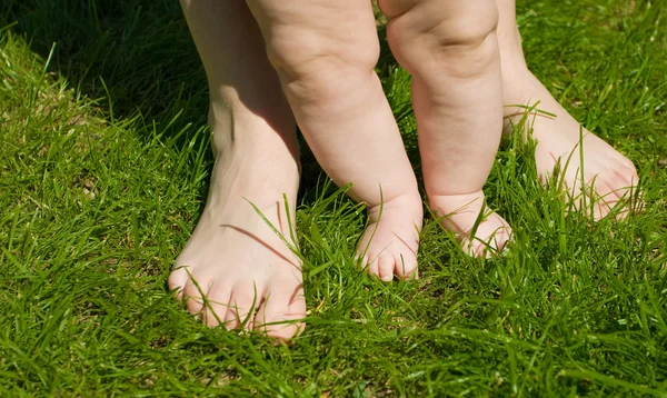 stock image Feet of baby and adult on the grass