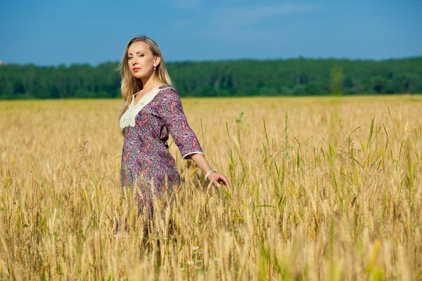 Menina beleza no campo de trigo — Fotografia de Stock