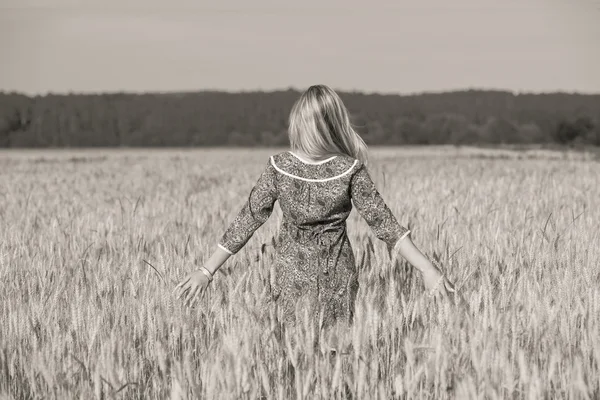 Skönhet flicka i fältet vete — Stockfoto