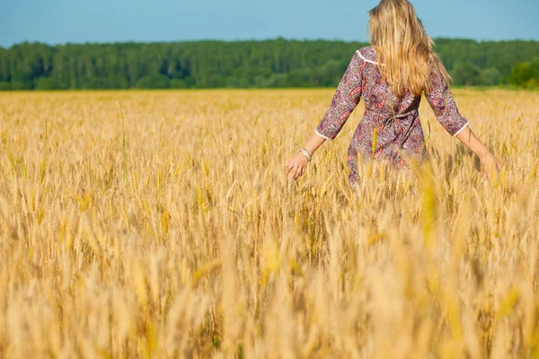 Buğday alanında güzellik kız — Stok fotoğraf