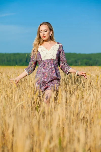 Skönhet flicka i fältet vete — Stockfoto