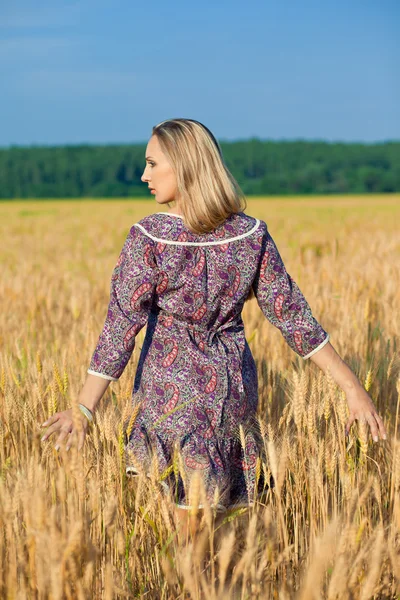 Chica de belleza en el campo de trigo — Foto de Stock