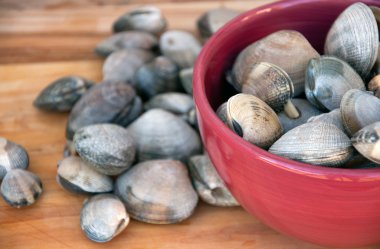 canlı istiridye ile kırmızı kase