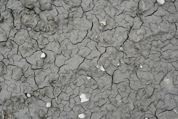 Texture terra secca — Foto Stock