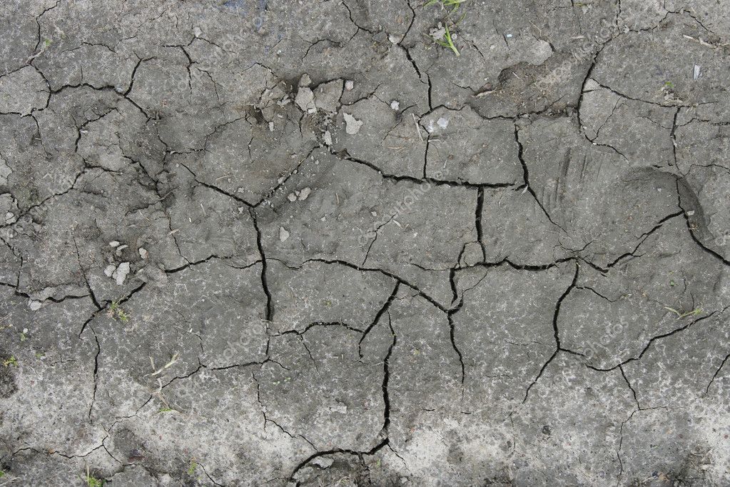 Dry earth texture — Stock Photo © Danylana #3804661