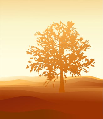 Kum ve ağaç