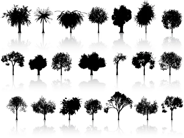 Множество деревьев — стоковый вектор