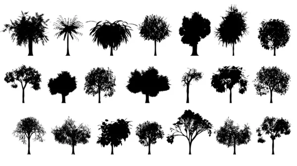 Conjunto de árboles — Archivo Imágenes Vectoriales