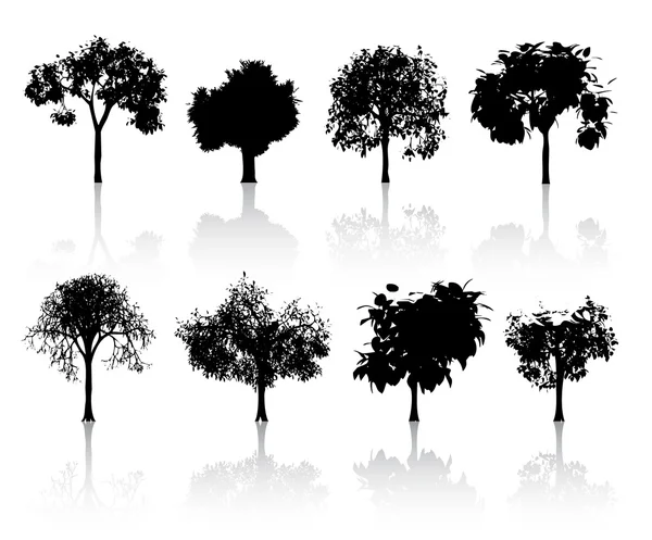 Conjunto de árboles — Vector de stock