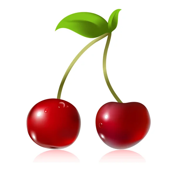 Cherry — Stock Vector