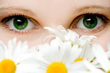 Stare of green women eyes clipart