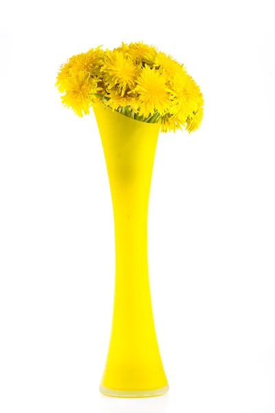 Amarelo dentes-de-leão no vaso — Fotografia de Stock