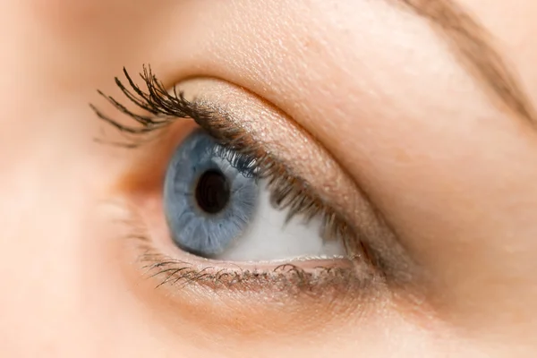 stock image Woman blue eye closeup