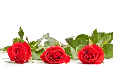 Three laying roses clipart